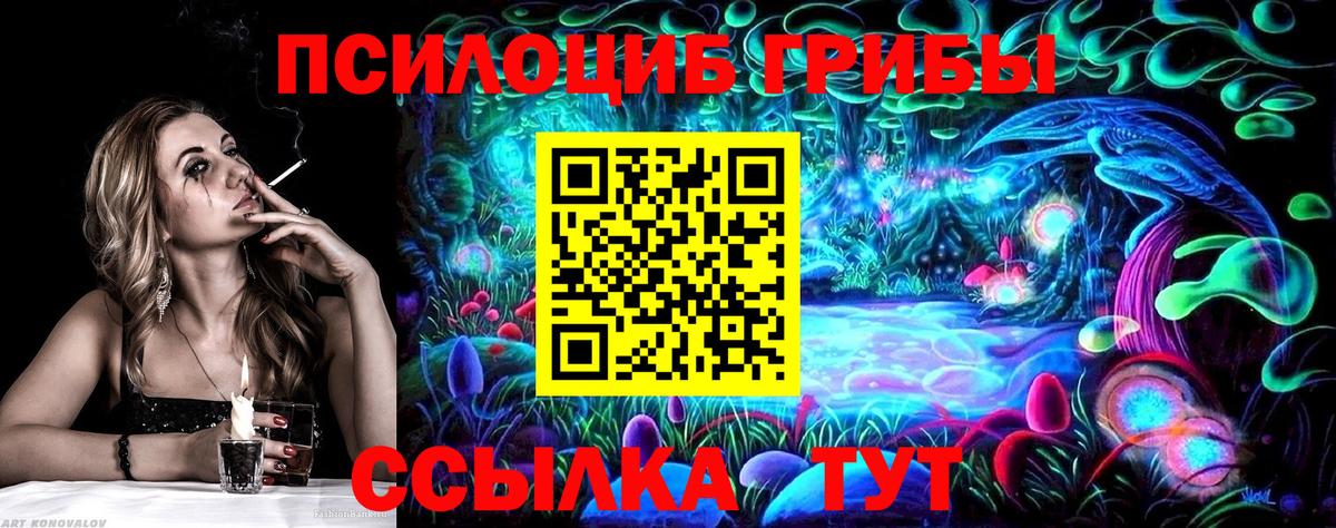 Псилоцибиновые грибы мицелий Кузнецк