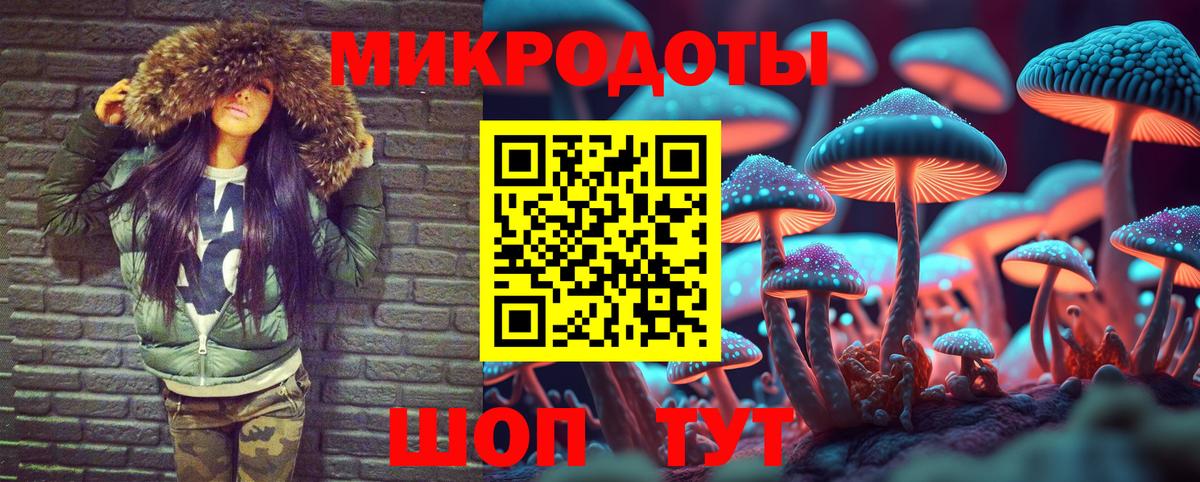 Кузнецк  Псилоцибиновые грибы Magic Shrooms  хочу   Вход с VPN 